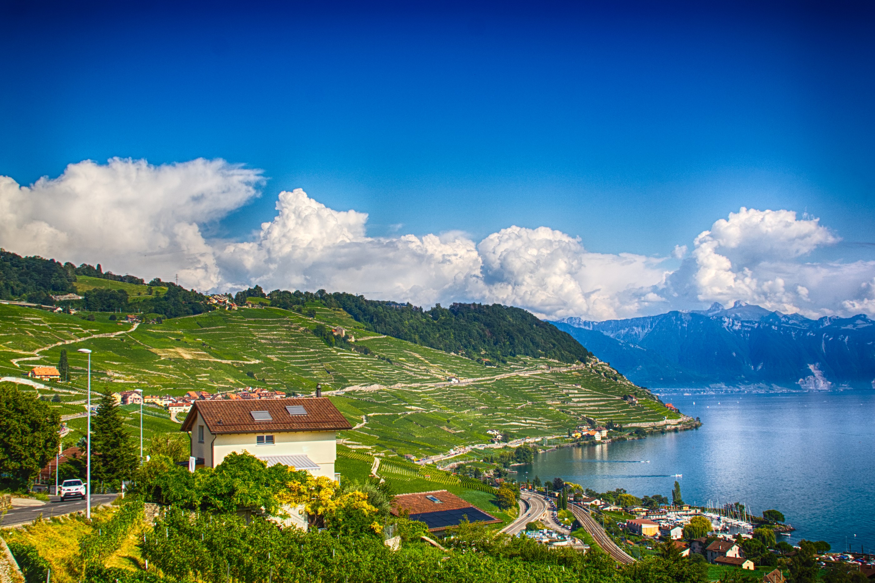 Le lavaux Cully
